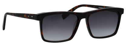 BRAUN_56X15X145