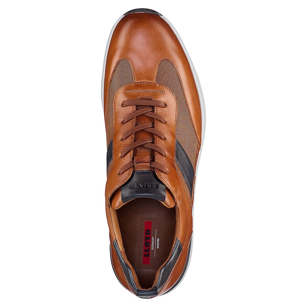 8_cognac